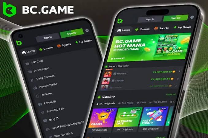 Comprehensive BC.Game Bonus Guide Maximize Your Gains